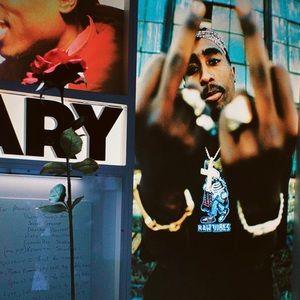 Meet your Posher, Kevin